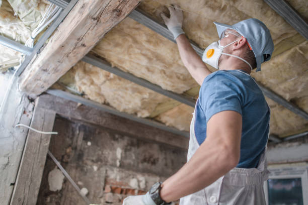 Best Insulation Contractors for Homes  in Garwood, NJ